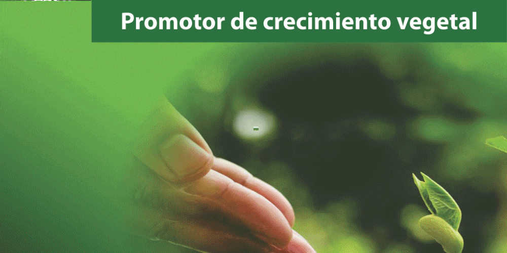 TRI-ACCION-GIF